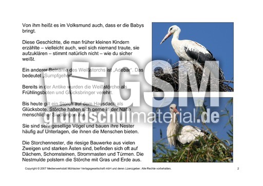 Fehlerlesen-Weißstorch-Lesetext-2.pdf